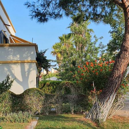 Nice 2 Bedroom Apartment Groundfloor Swimming Pool Tavira Eksteriør bilde